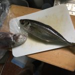 鶴橋鮮魚市場レポート#1