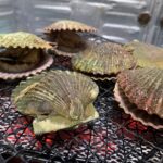 ヒオウギガイ
