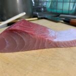 20kgのヒラマサの腹身